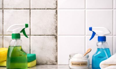 Mistura caseira para tirar mofo, limo e bolor do banheiro usando apenas dois ingredientes simples