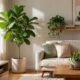 Como escolher a planta certa para cada ambiente e evitar erros que fazem as plantas não durarem