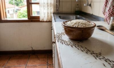 Adeus formigas como se livrar delas com 4 ingredientes de cozinha e sem usar veneno
