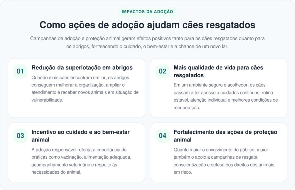 Abrigo usa chapéus de caubói para ajudar filhotes de pitbull a serem adotados