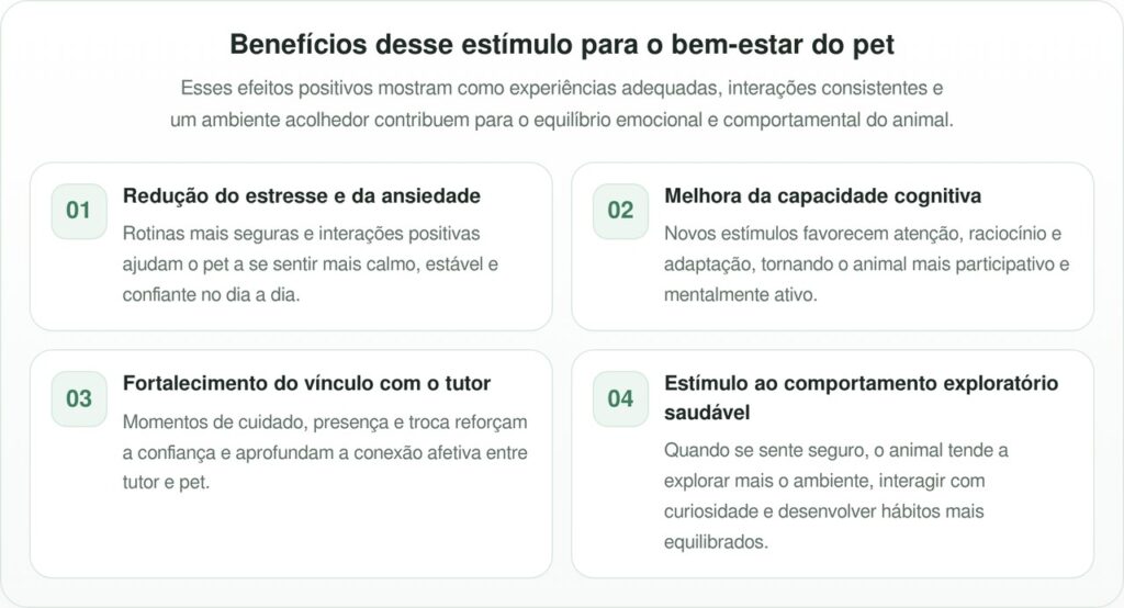 Ambientes seguros e estímulos adequados ajudam a reduzir o estresse e a ansiedade dos pets no dia a dia