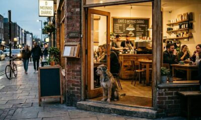 Cachorro de rua se torna cliente fiel de cafeteria e encanta a todos