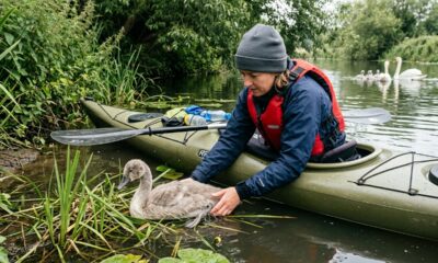 Caiaquista encontra filhote ferido e ouve um rosnado assustador