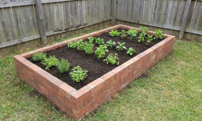 Como fazer um canteiro de tijolo no quintal e transformar o espaço com charme e pouco gasto