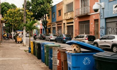 Câmeras de segurança flagram animal de estimação preso em reciclagem