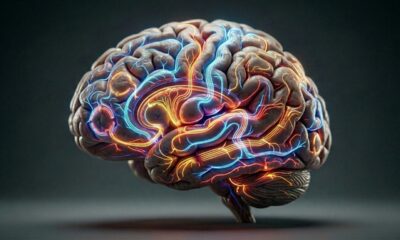 A psicologia explica por que o cérebro economiza esforço e repete padrões conhecidos