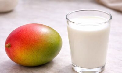 Manga com leite é perigoso ou isso não passa de um mito que continua sendo repetido