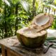 Benefícios da água de coco no dia a dia e o que realmente muda no corpo com o consumo frequente