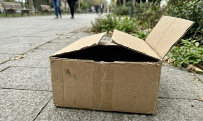 Cada caixa esconde um pequeno milagre esperando para ser descoberto