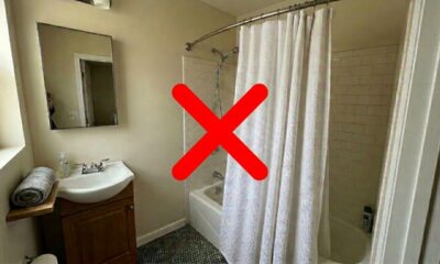 Nem divisória nem cortina: a tendência mais elegante e prática para instalar em chuveiros de banheiros pequenos