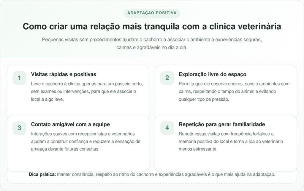 A adaptação ao consultório começa com experiências leves e positivas
