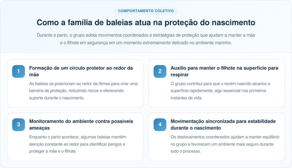 Baleias se unem em um impressionante trabalho coletivo para proteger a mãe e garantir a sobrevivência do filhote