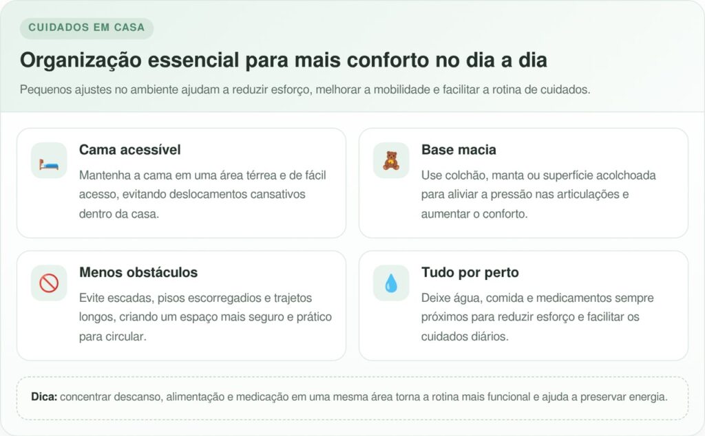 Sydney mostra na prática como o cuidado com cão idoso transforma a rotina da família