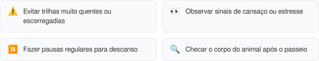 Cuidados essenciais para garantir passeios ao ar livre seguros com seu cachorro