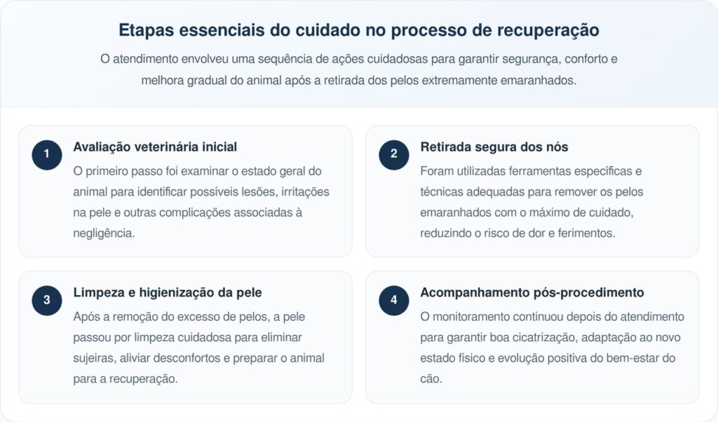 Cão abandonado se transforma após remoção de pelos emaranhados