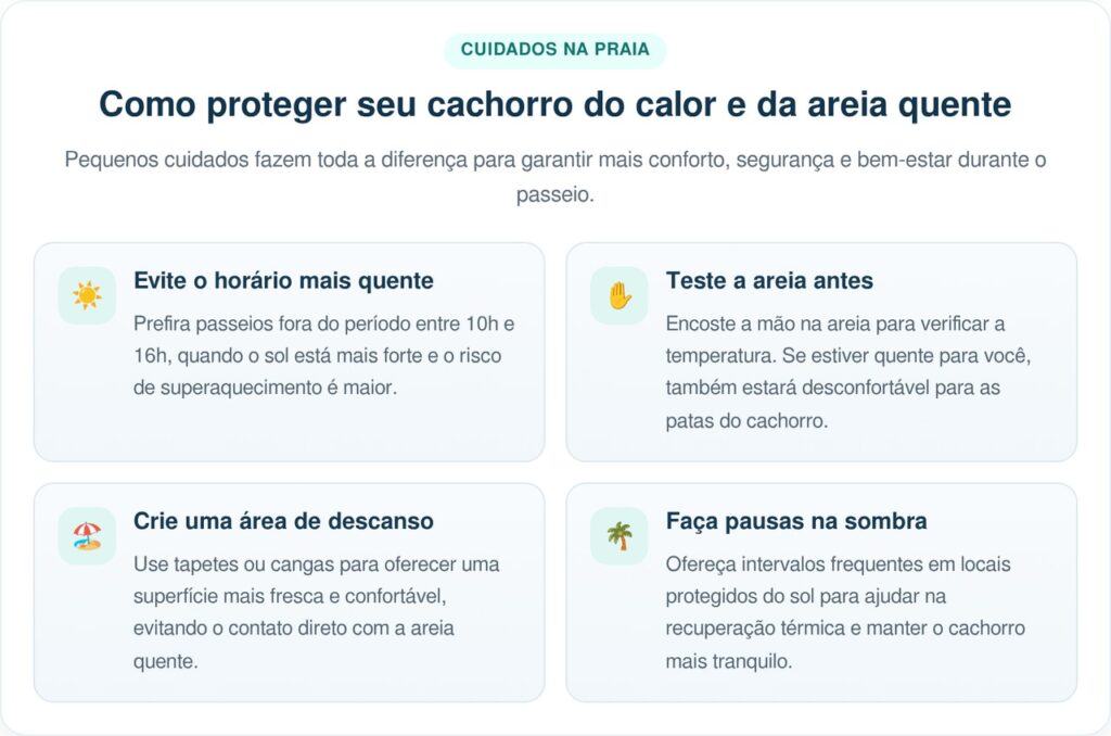 Pequenos cuidados fazem grande diferença no bem-estar do seu pet