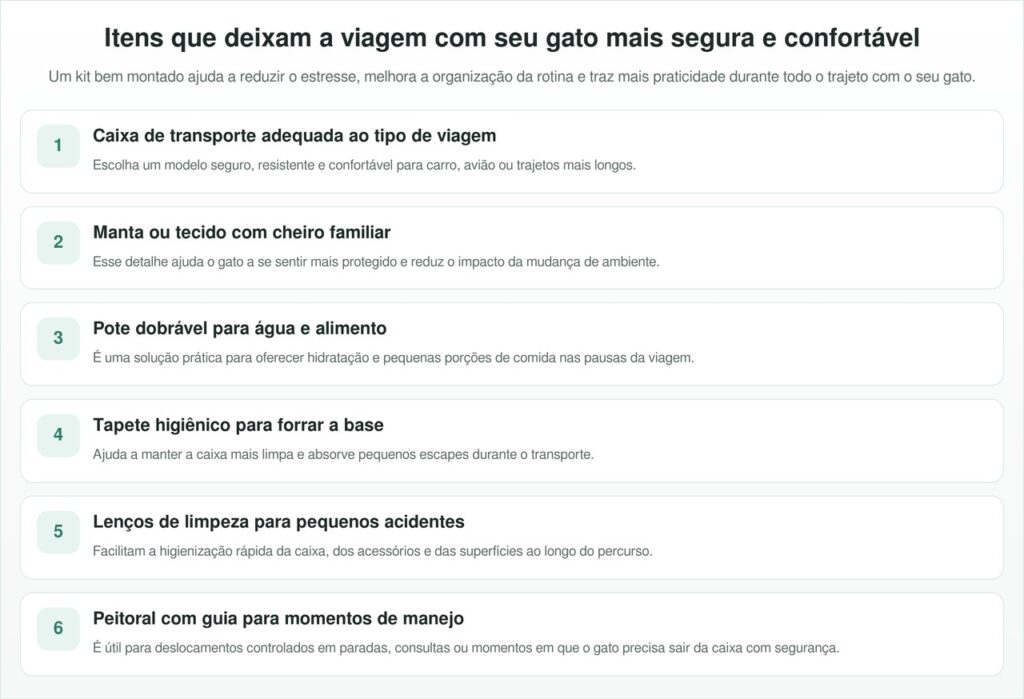 Tudo o que seu gato precisa para uma viagem mais segura e confortável