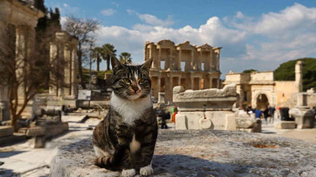 A metrópole do império romano preservada em 3 mil anos que recebe 2,5 milhões de visitantes todos anos
