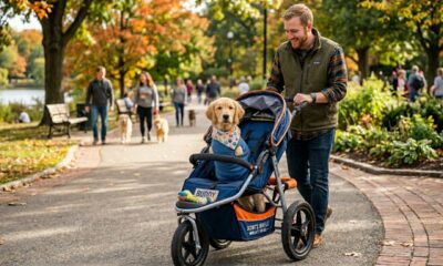 Papai constrói carrinho customizado para cachorrinho que não tem as pernas da frente