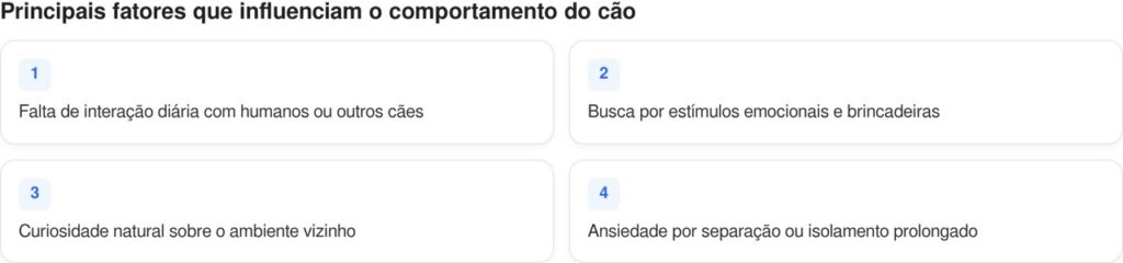 Principais fatores que influenciam o comportamento de cães carentes e ansiosos