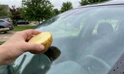 O truque da batata no vidro do carro promete repelir água, mas exige um cuidado importante