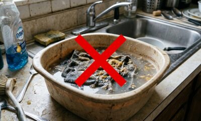 Diga adeus aos maus odores e à sujeira nos panos de prato: o truque com 2 ingredientes que os deixa como novos