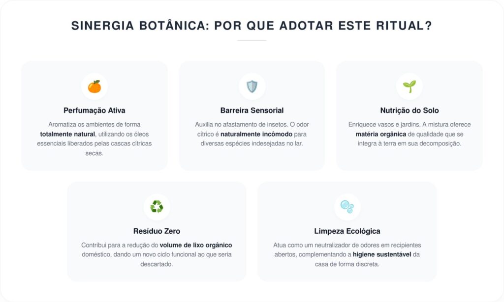 Misturar ervas usadas com cascas de tangerina: para que serve, seus benefícios e onde usar