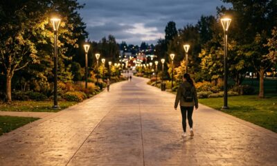 Cartas do tarot que indicam novos começos com proteção e caminhos mais abertos agora