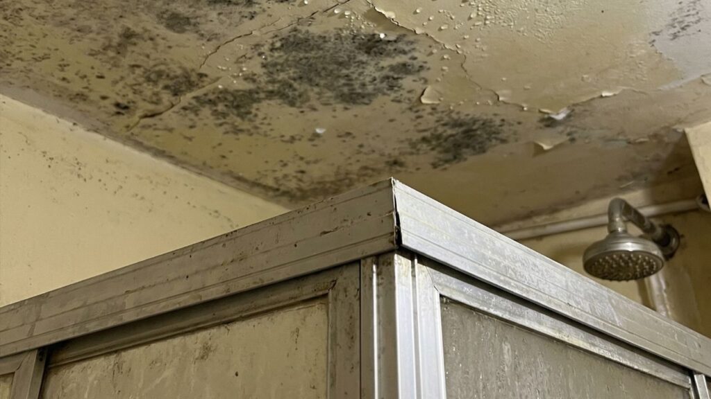 3 misturas caseiras para acabar com o mofo no teto do banheiro e evitar que ele volte