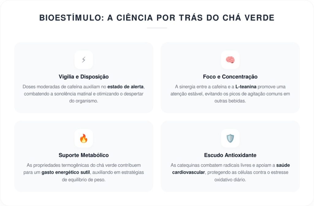 4 motivos para tomar chá verde toda manhã e transformar sua saúde