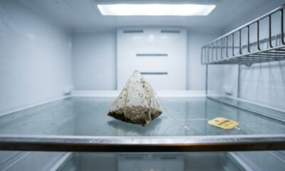 Geladeira com cheiro ruim? O truque simples com chá usado que pode surpreender em poucas horas