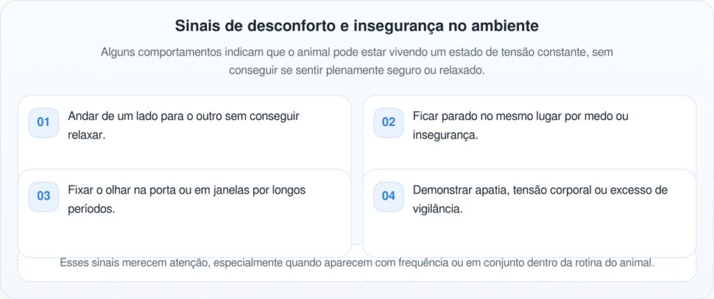 Pequenos comportamentos que podem indicar ansiedade e insegurança no dia a dia
