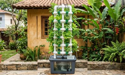 Como fazer horta hidropônica em casa e começar a cultivar sem usar terra de forma simples