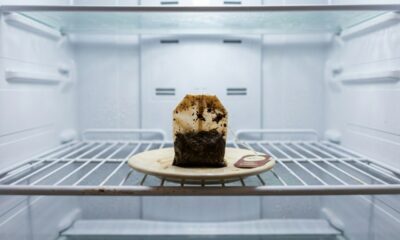Guardar um saquinho de chá usado na geladeira: para que serve e por que muitos recomendam