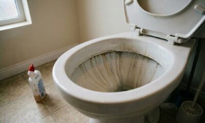 Apenas meio copo dessa mistura no vaso sanitário e ele volta a brilhar sem gastar com produtos caros