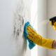 O truque alemão para remover manchas de umidade e mofo das paredes para sempre