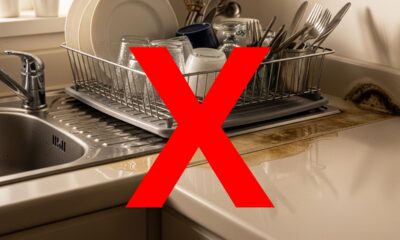 Diga adeus ao escorredor de louças tradicional, esta nova tendência está substituindo-o e mantendo as cozinhas limpas, organizadas e arrumadas