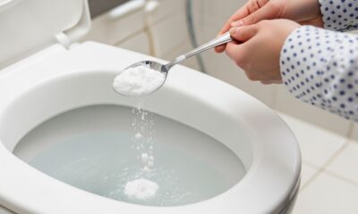 Jogue três colheres dessa misturinha no vaso sanitário, elimine manchas e odores com facilidade