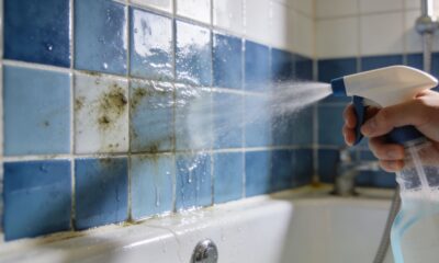 Depois que borrifei essa misturinha no banheiro, nunca mais tive problema com mofo, é mais eficiente do que água sanitária