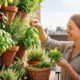 Como montar uma horta vertical em casa e cultivar alimentos frescos mesmo com pouco espaço