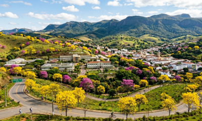 A terra dos ipês e das escolas chama atenção pela beleza rara em Minas Gerais