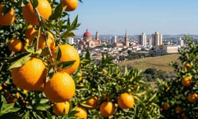 A "Capital da Laranja" abriga a maior exportadora de suco de laranja do mundo e está atraindo quem busca viver melhor