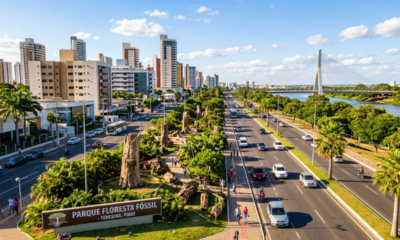 A “Mesopotâmia brasileira” é uma capital planejada que guarda uma floresta de 270 milhões de anos em plena avenida