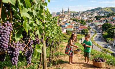 A pequena "Cidade das Uvas" no interior de SP virou alvo de quem busca uma vida tranquila perfeita para prosperar