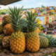 A "Capital do Abacaxi" colhe 9 milhões de frutos com 24% da produção de Minas Gerais inteira e atraí moradores pela qualidade de vida