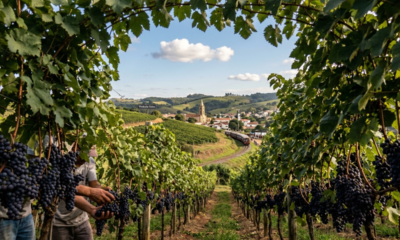 Ocupando a 13ª posição de melhor cidade do Brasil para viver, esse lugar tem 100% do esgoto tratado e qualidade de vida invejável