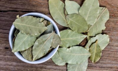 Folhas de louro secas em tigela branca sobre superfície de madeira.