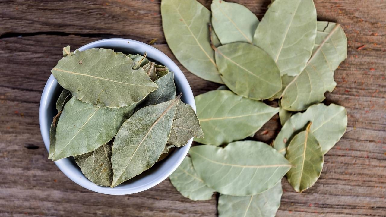 Folhas de louro secas em tigela branca sobre superfície de madeira.