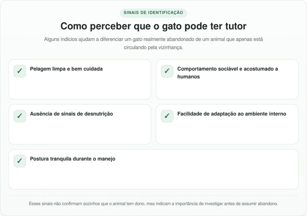 Ao ajudar um gato perdido, mulher descobre algo surpreendente