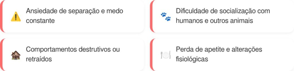 Cadela rejeitada pela criadora por causa dos olhos não sabe o que fez de errado